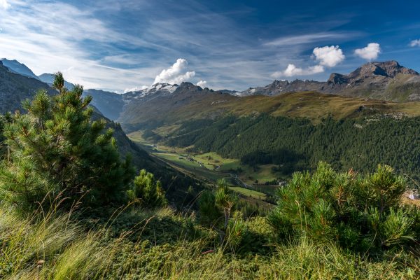 Aussicht ins grüne Val Fex