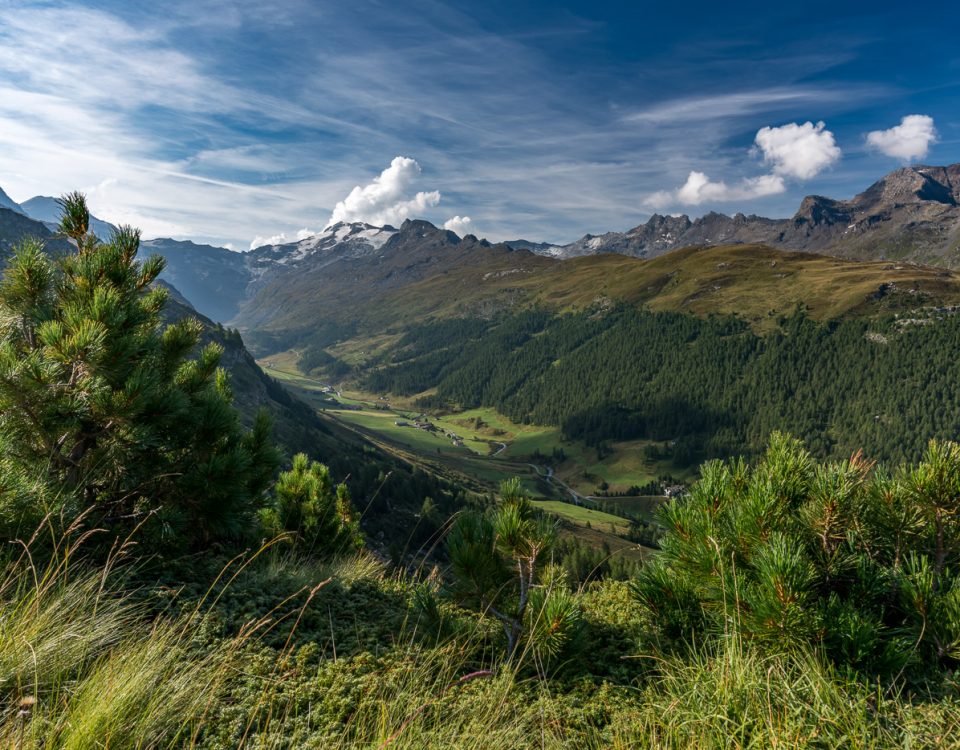 Aussicht ins grüne Val Fex