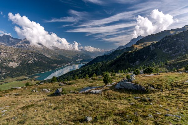 Aussicht auf den Lej da Silvaplana