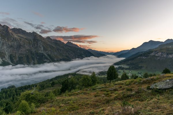 Maloja Schlange im ersten Morgenlicht