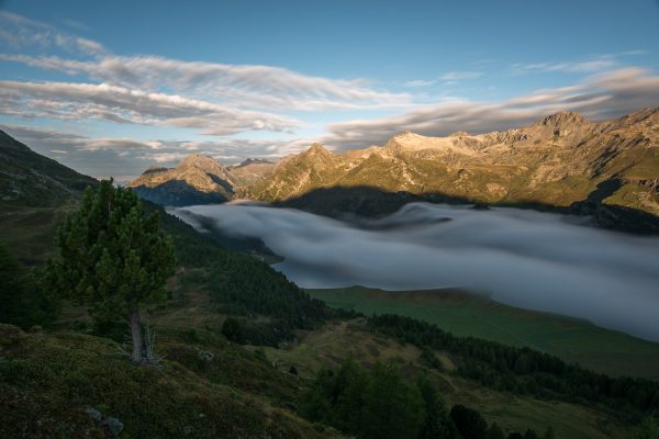 Maloja Schlange im ersten Morgenlicht