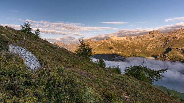 Maloja Schlange im ersten Morgenlicht