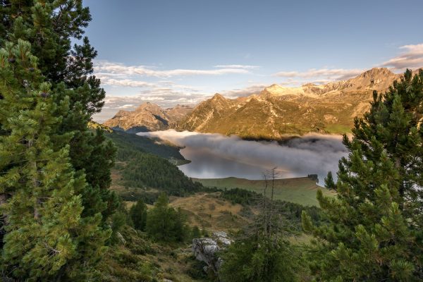 Maloja Schlange im ersten Morgenlicht