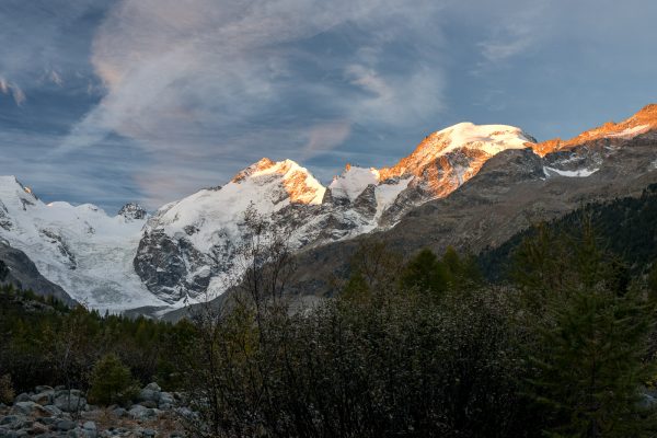 Biancograt und Piz Morteratsch im Morgenrot