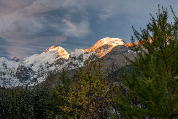 Biancograt und Piz Morteratsch im Morgenrot