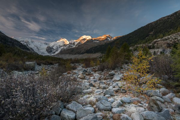 Ova da Morteratsch und Pia Bernina im Morgenrot