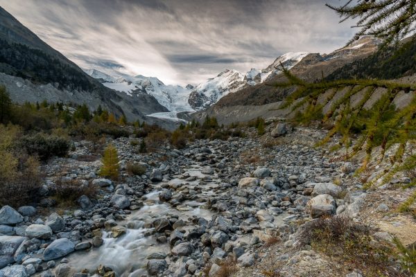 Piz Bernina und Ova da Morteratsch in der Morgenstimmung