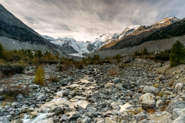 Piz Bernina und Ova da Morteratsch in der Morgenstimmung