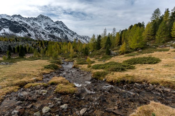 Val Viola nach dem ersten Schnee