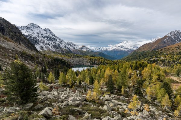 Val Viola nach dem ersten Schnee