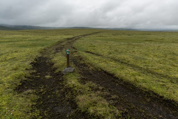 Of Road Spur wird im Isländischen Hochland schnell zur Illegalen Piste