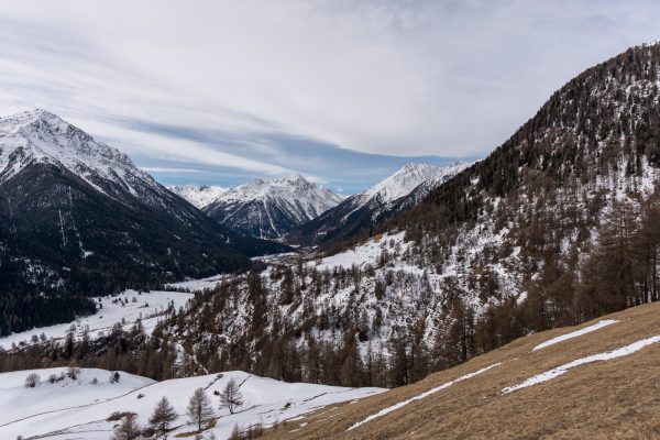 Engadina