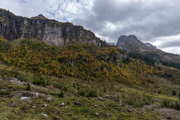 Herbstfarben