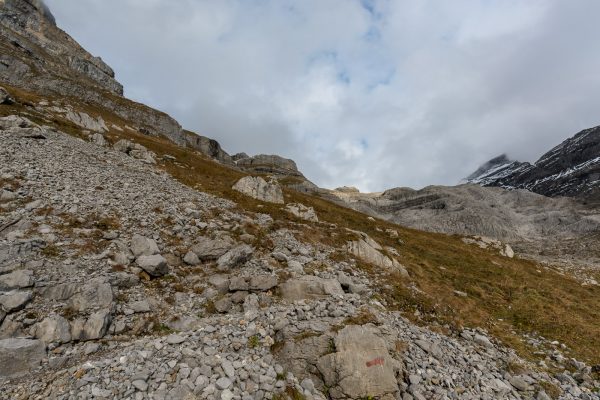 Weg Richtung Gletscher