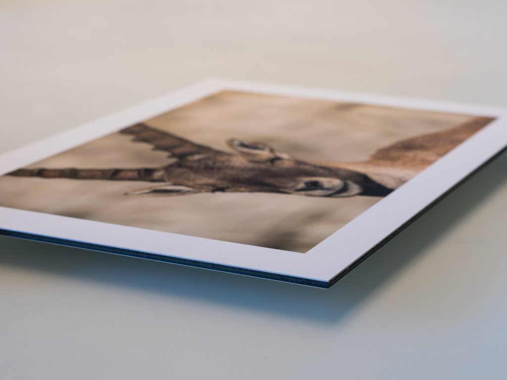 Fine Art Kollektion 3 mm Dibond