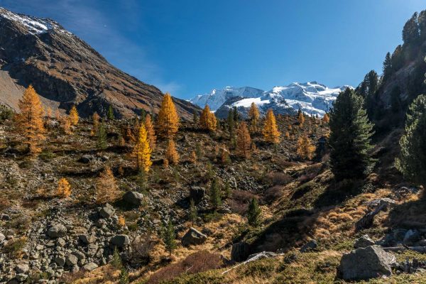 Morteratsch bei strahlend blauem Himmel