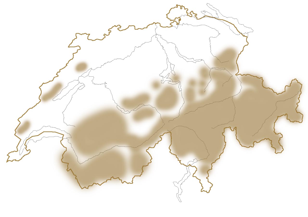 Vorkommen der Murmeltiere in der Schweiz