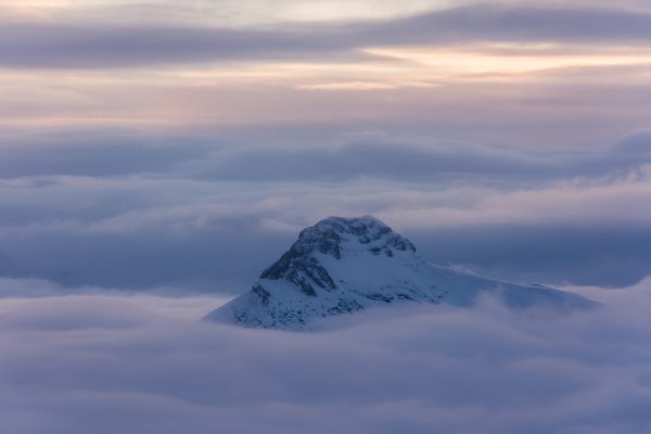 Margelchopf im Morgengrauen