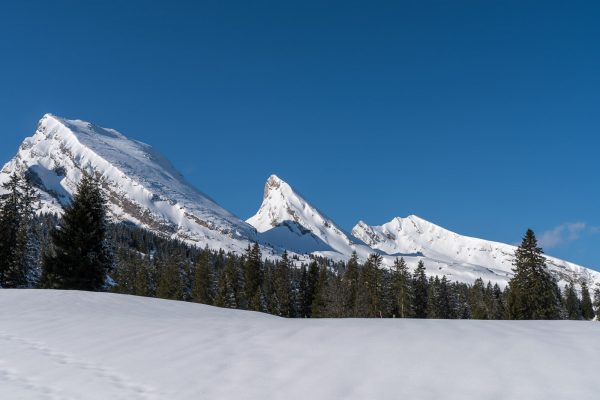 Brisi, Frümsel, Selun