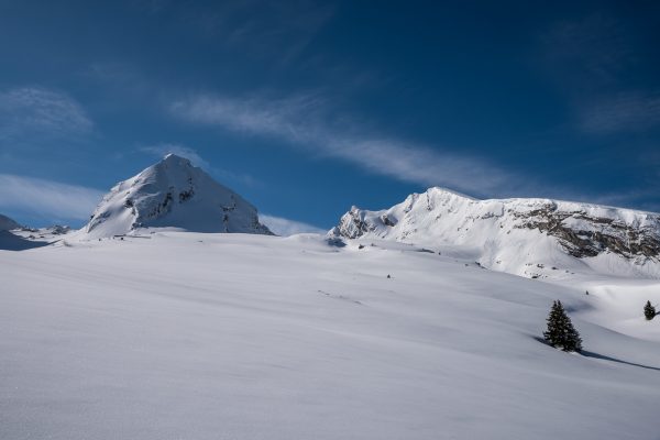 Schnee, Schnee, Schnee