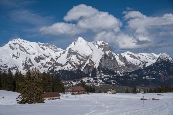 Wildhuser Schofberg