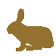 Hase