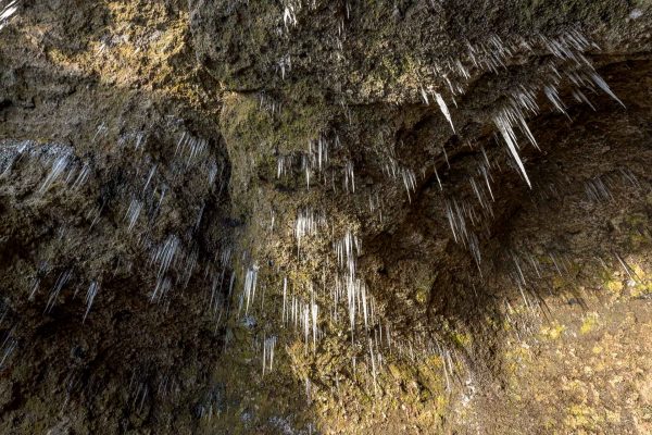 Felsenhöhle Hjörleifshöfði