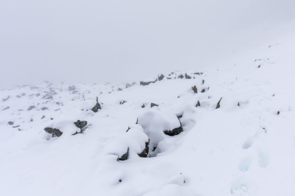 Abstieg durch den Neuschnee