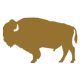 Bison