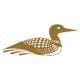 Loon