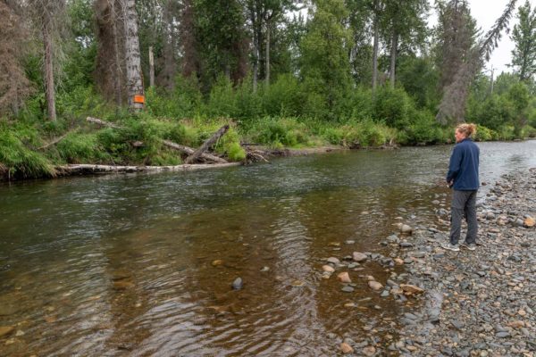 Unser erster Fluss gefüllt mit Lachsen