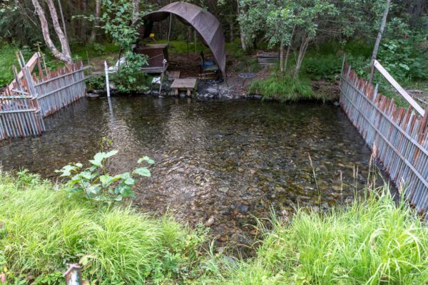 Lachs Forschungsstation