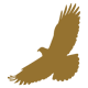 Panamericana