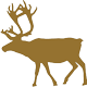Karibu
