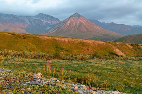 Denali Nationalpark