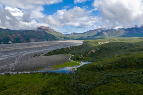 Denali Nationalpark