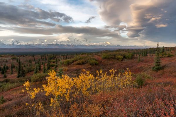 Denali Nationalpark