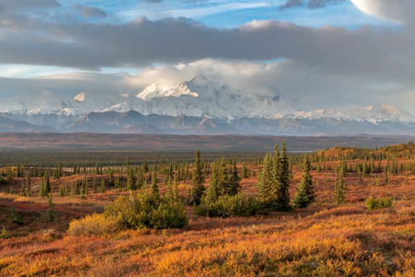 Denali Nationalpark