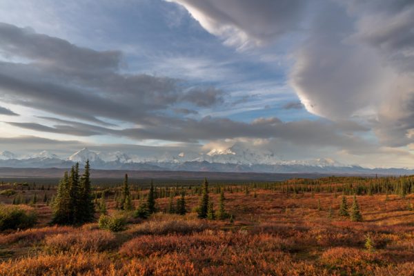 Denali Nationalpark