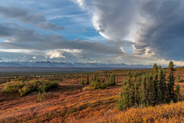 Denali Nationalpark