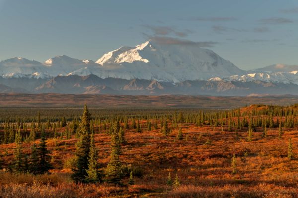 Denali Nationalpark