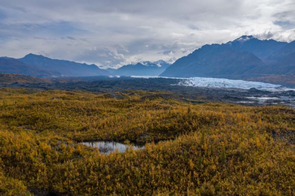 Matanuska Gletscher