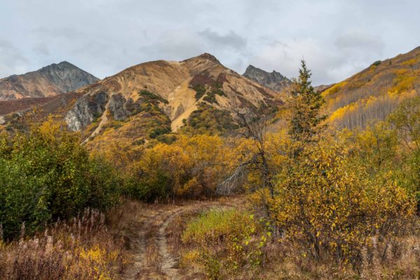 Sheep Mountain