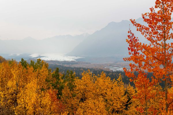 Matanuska Gletscher