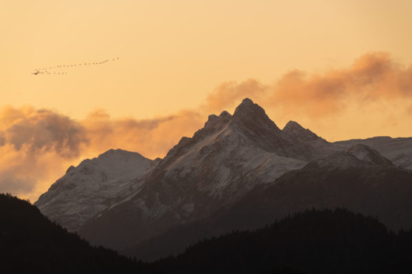 Kachemak Bay State Park