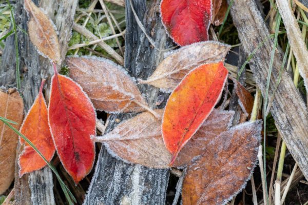 Der Herbst kommt