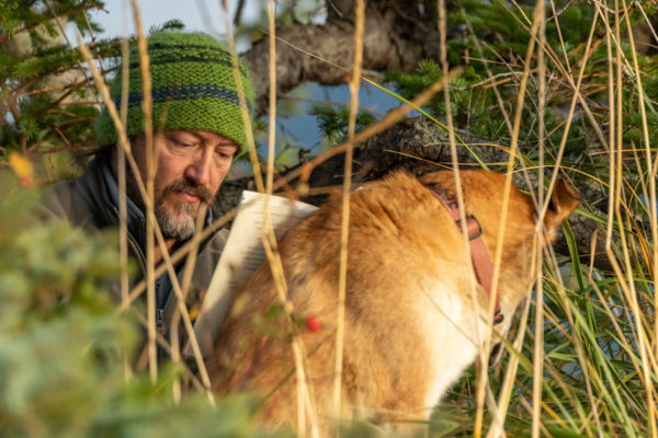 Brad und Jaffa