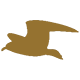 Möwe
