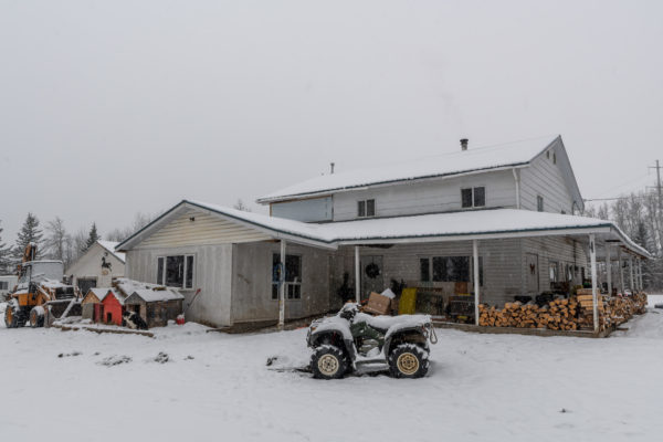 Genügend Brennholz für den Winter ist vorhanden