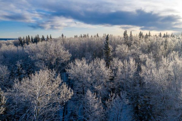 Winter in Dawson Creek